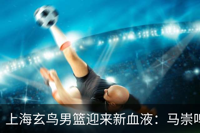 上海玄鸟男篮迎来新血液：马崇鸣、魏桢、刘俊豪加盟